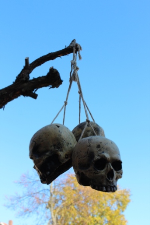 Hanging Skulls